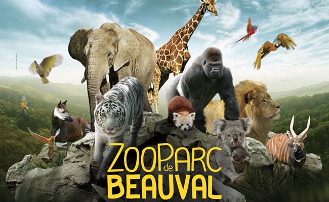 La Ferme Des Bordes : Zoo Beauval