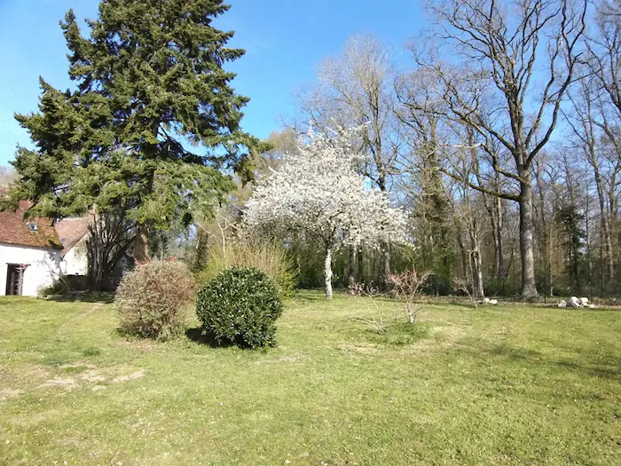 Jardin de la chambre d'hôtes Blois