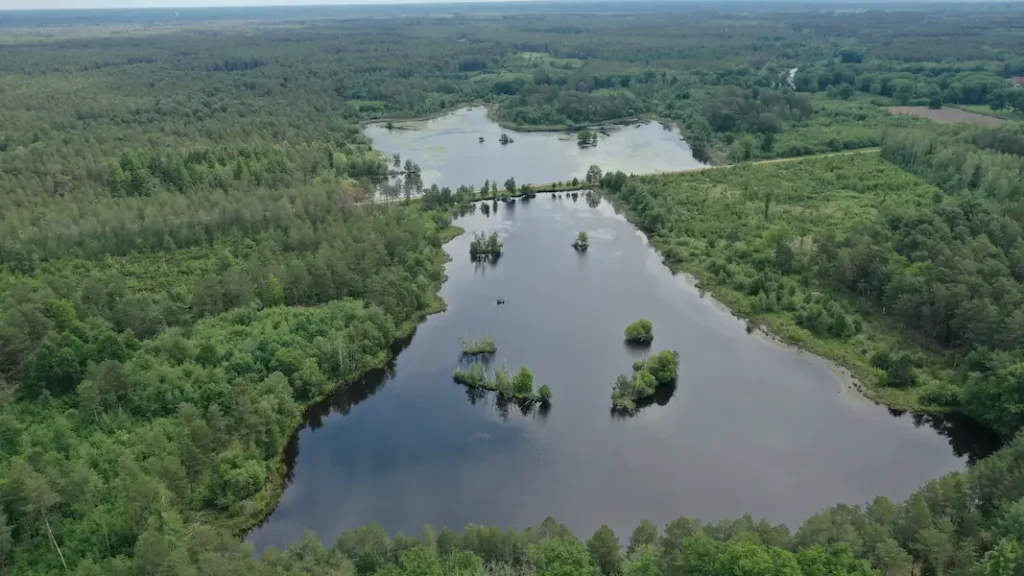 La Sologne vue du ciel